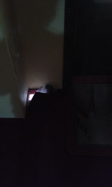 Sonstiges Kurhaus Kaja