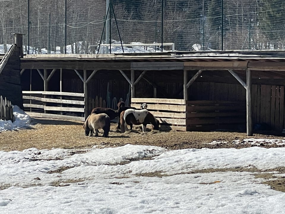 Sonstiges Alphotel Tyrol