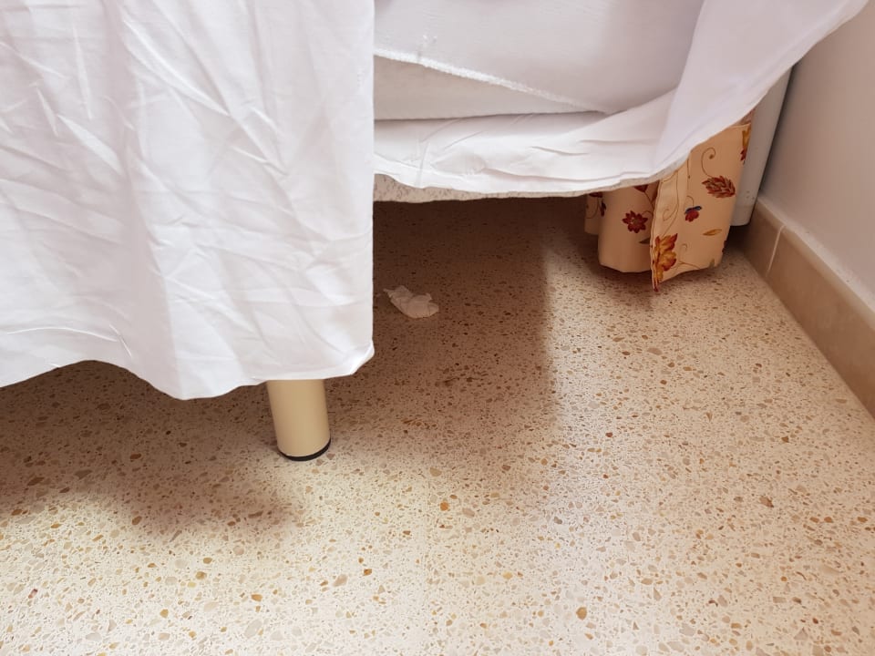 Die Ortsveränderung des Tachentuchs meines Vorgängers über d Cabot Playa Grande - Adults Only