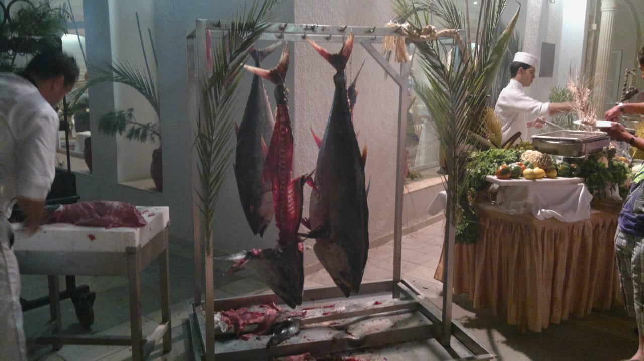 Sehr beeindruckende Aktionen Hotel El Mouradi Djerba Menzel