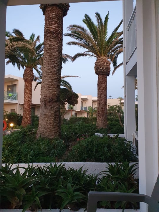 Gartenanlage Hotel Happy Days