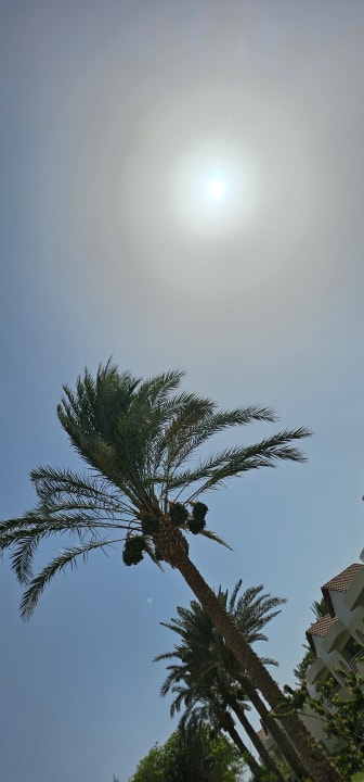Gartenanlage Golden Beach Resort