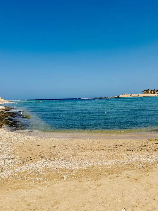 Strand Steigenberger Coraya Beach - Adults only