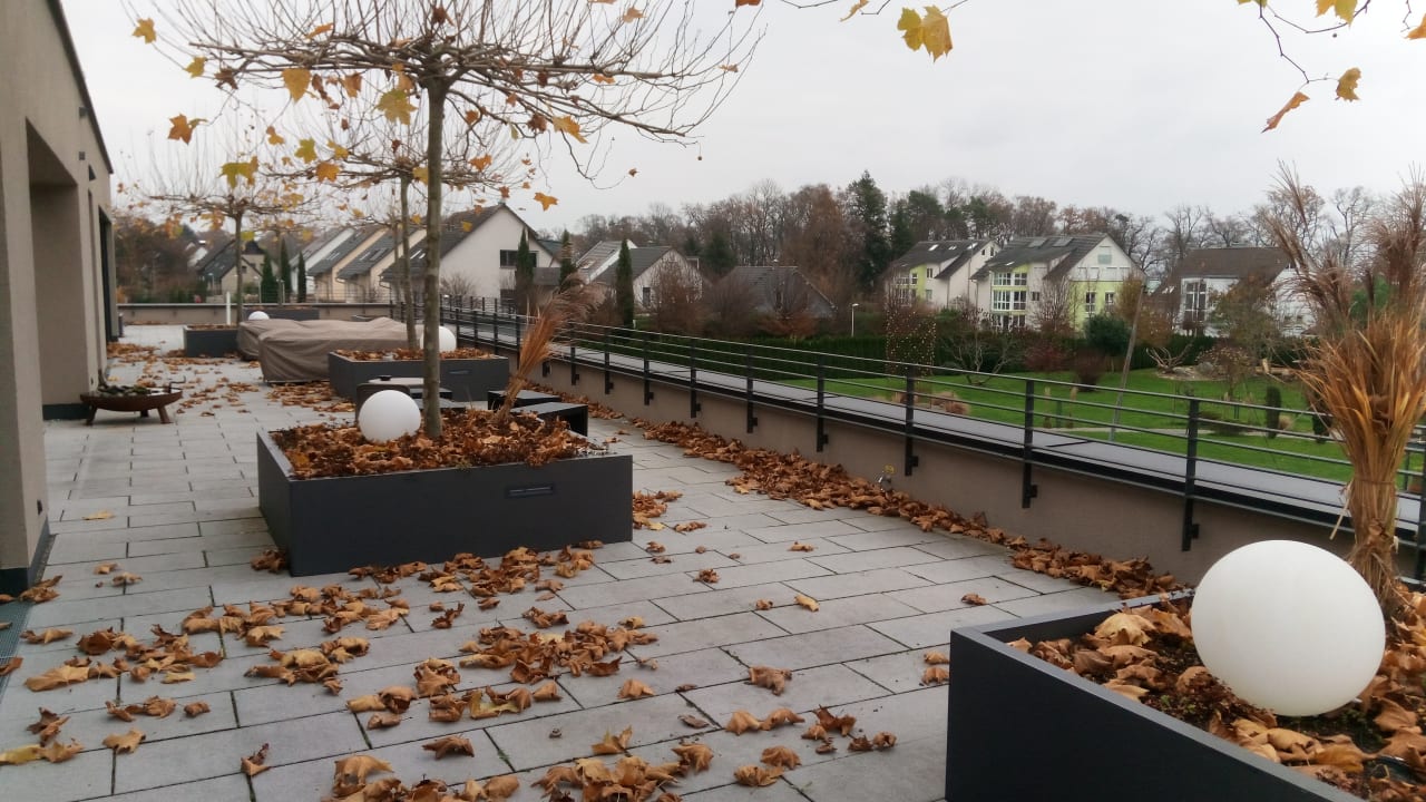 Ausblick Hotel Traube am See