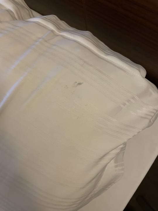 Zimmer Well Palace Side