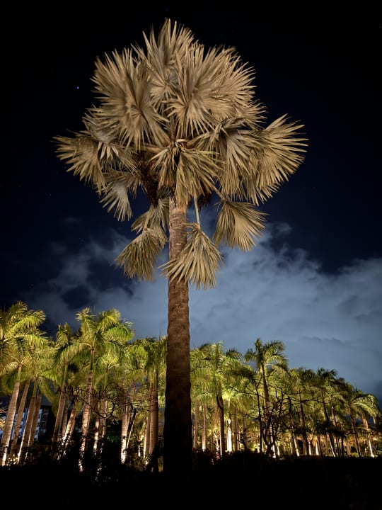 Gartenanlage Lopesan Costa Bávaro Resort, Spa & Casino