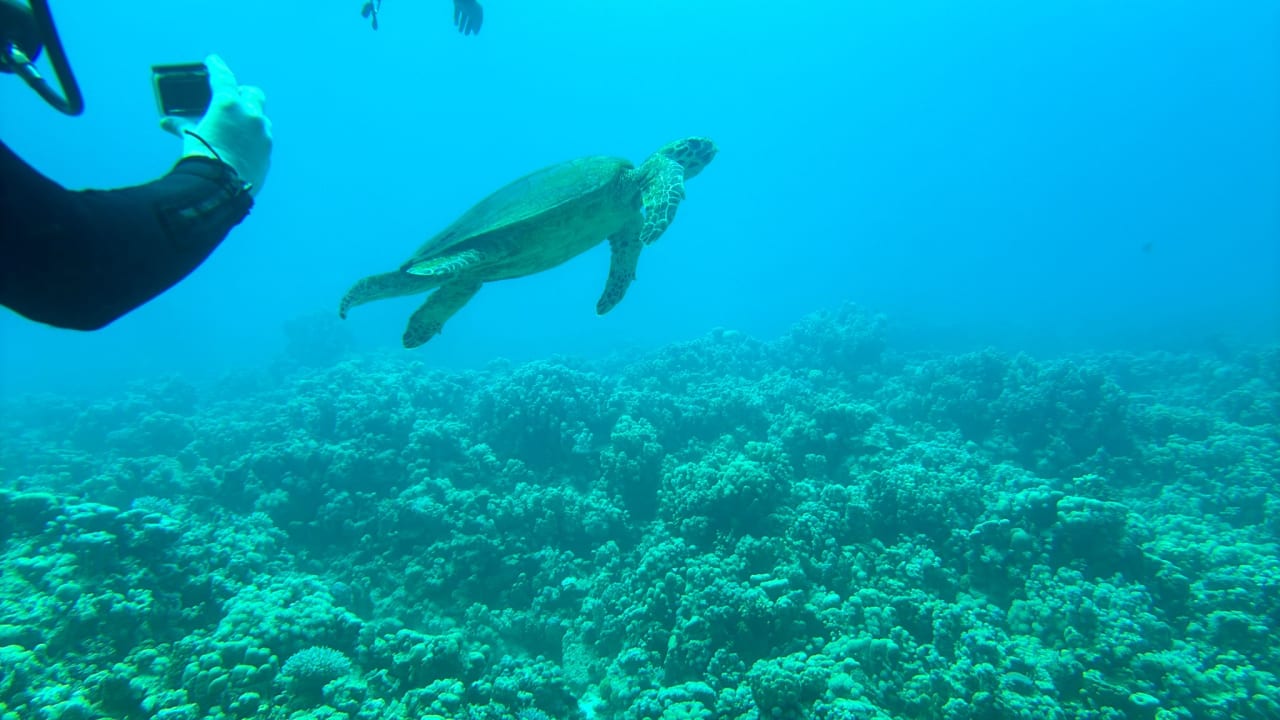 Sport & Freizeit Grand Waterworld Makadi & Family Star Makadi