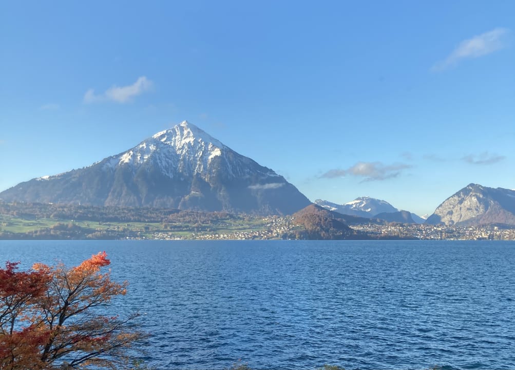 Ausblick Beatus Wellness- & Spa-Hotel