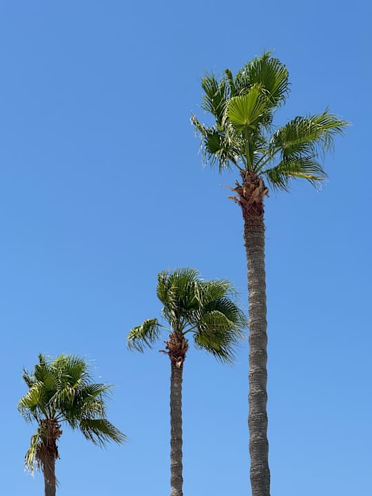 Außenansicht Blue Lagoon Ocean