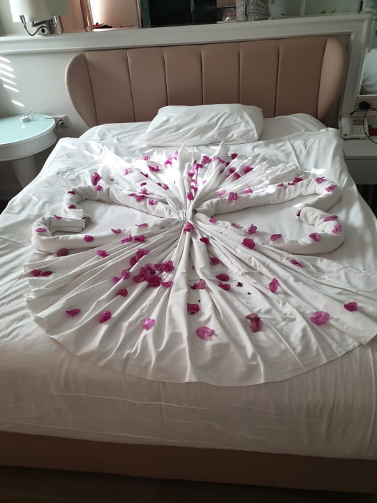 Zimmer Hotel Delphin Diva