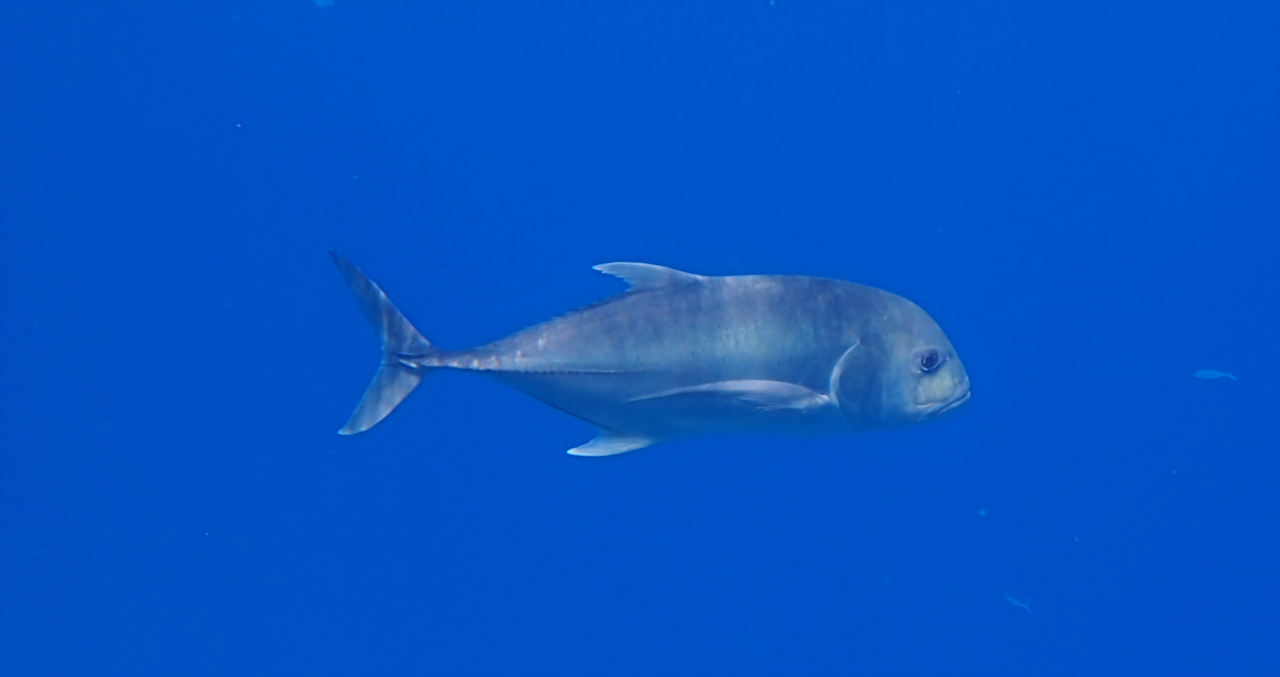 Strand Casa Mare Resort