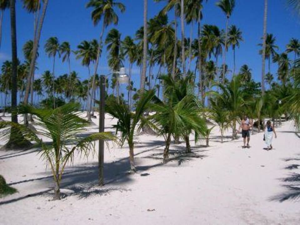 Einfach traumhaft Villas Bavaro Resort & Spa