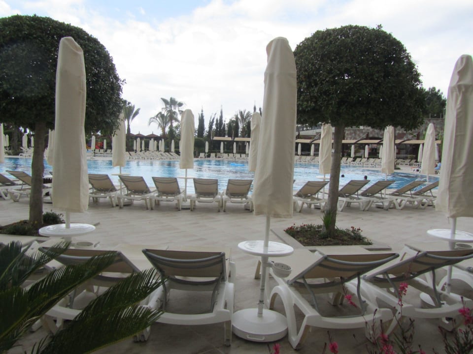 Saphir Resort & Spa Saphir Resort & Spa