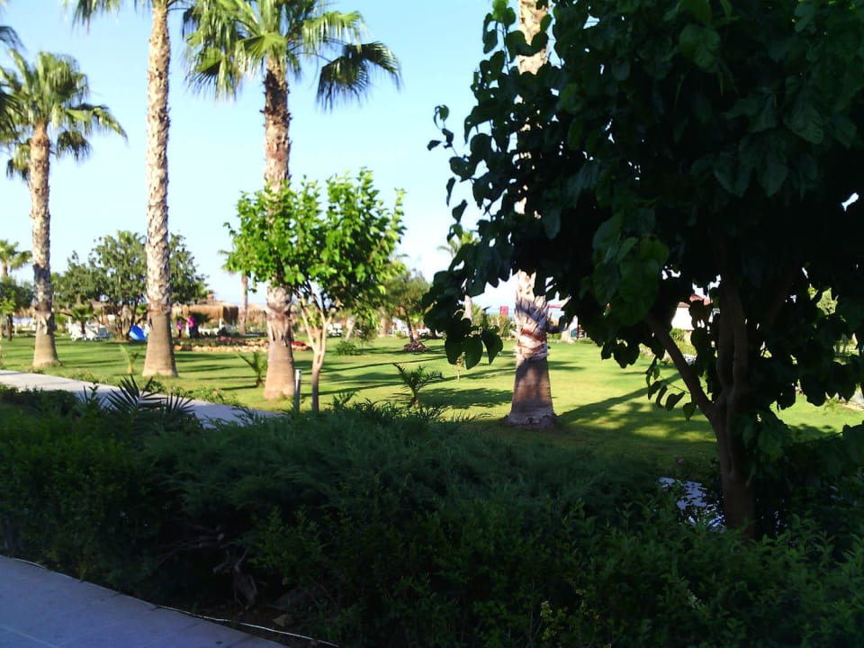 Bietet genügend Schatten Justiniano Park Conti