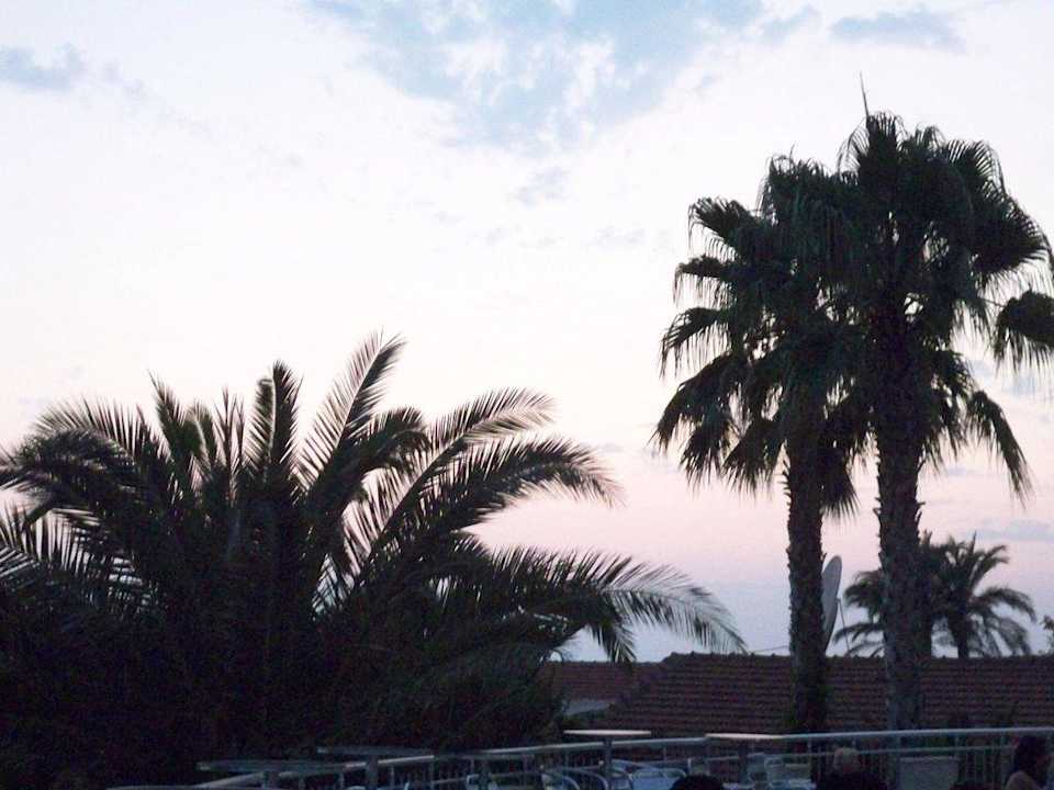 Garten am Abend Hotel Thalia Unique