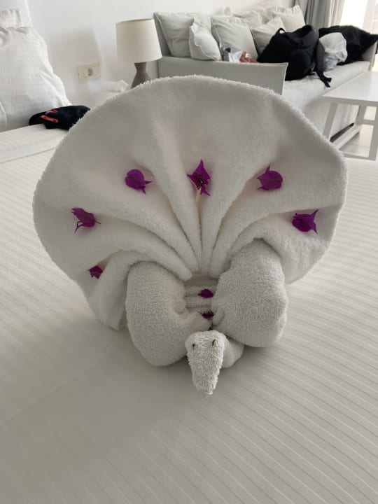 Zimmer Dimitra Beach Hotel & Suites