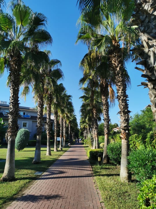 Gartenanlage Sunis Elita Beach Resort & Spa