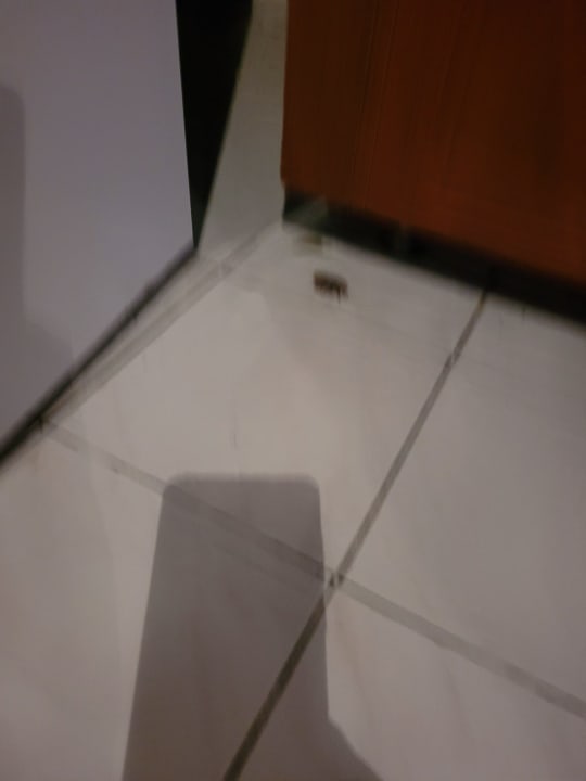 Zimmer The S Apt & Suites Hotel