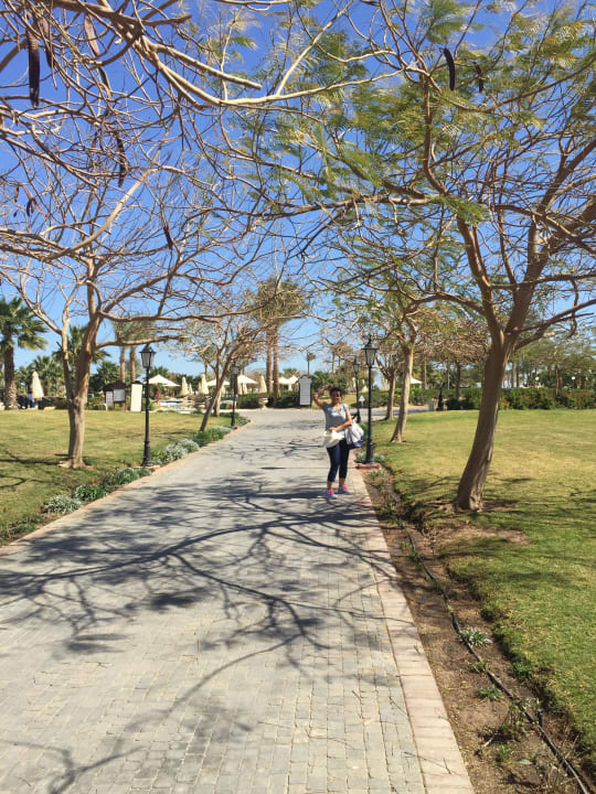 Weg zum Strand Steigenberger ALDAU Beach Hotel