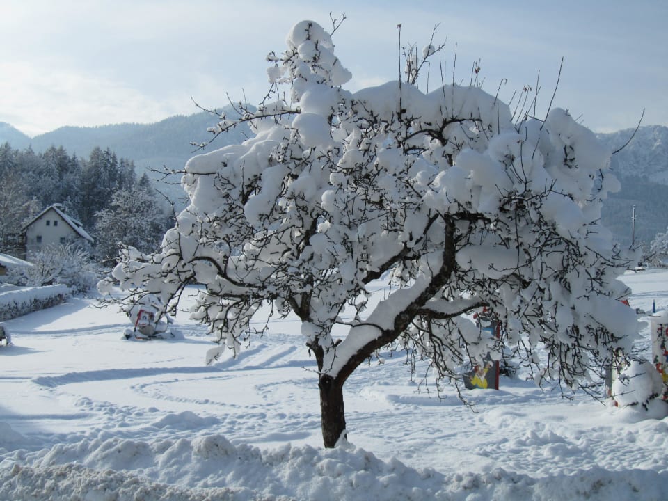Schön verschneit Naturel Hoteldorf Schönleitn