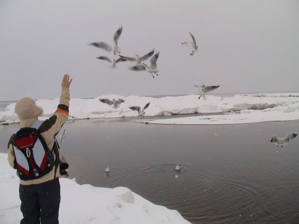 Am winterlichen Strand Villa del Mar