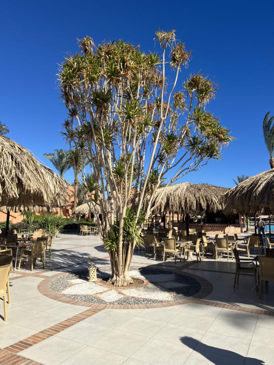 Gastro Jaz Makadi Oasis Resort