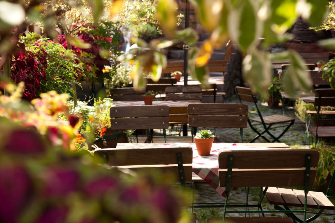 Gartenanlage Weinhotel des Riesling  Zum grünen Kranz
