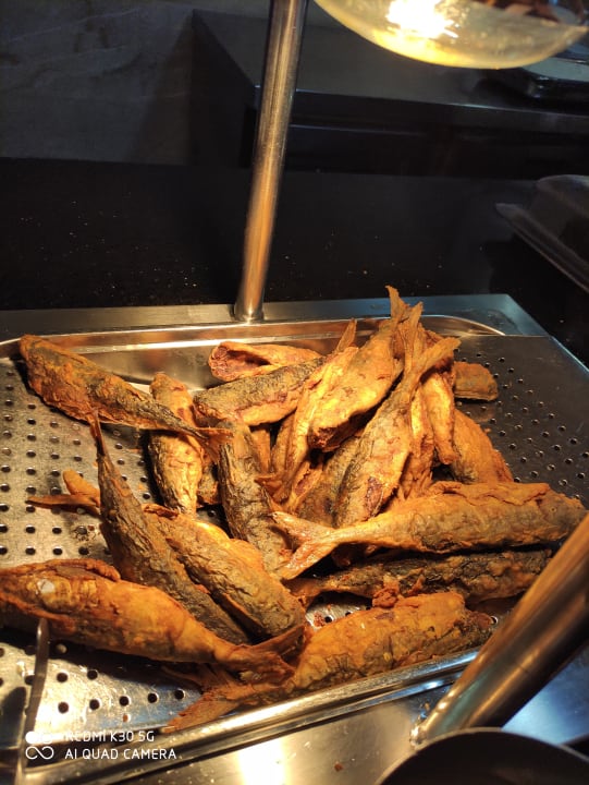 Gastro Pickalbatros Aqua Vista Resort - Hurghada