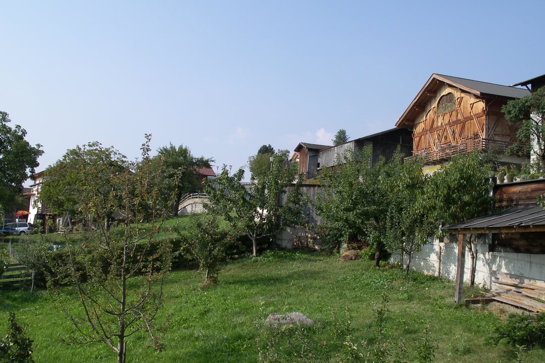 Blick auf die Wiese vorm Balkon  feldthurnerhof vinum-natur-relax