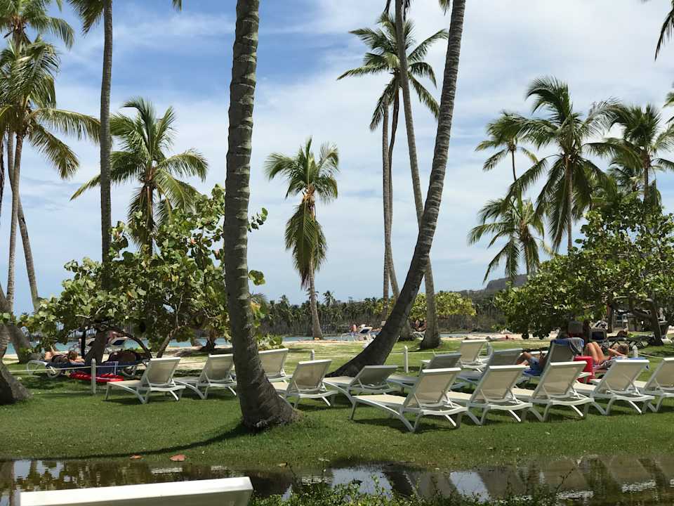 Gartenanlage Wyndham Alltra Samana