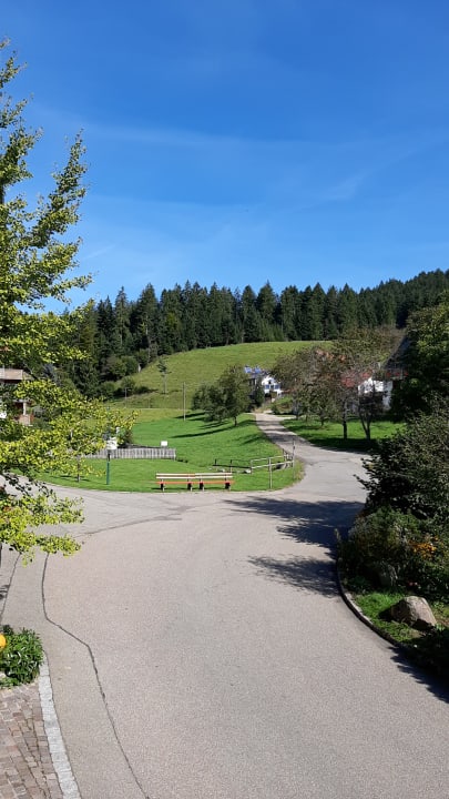 Ausblick Naturparkhotel Adler