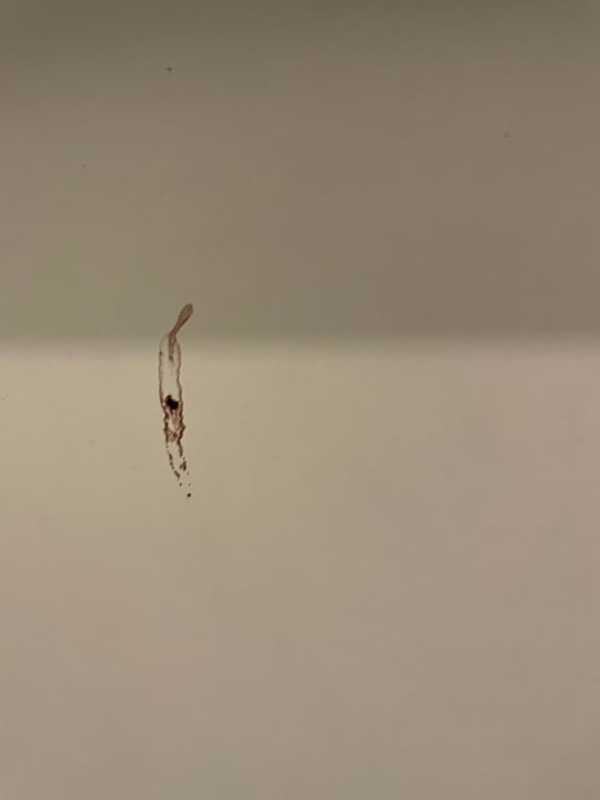 Gastro Aldiana Club Rocca Nettuno Calabria