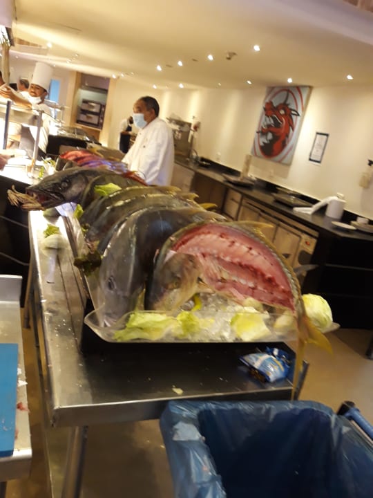 Gastro Cleopatra Luxury Resort Makadi Bay