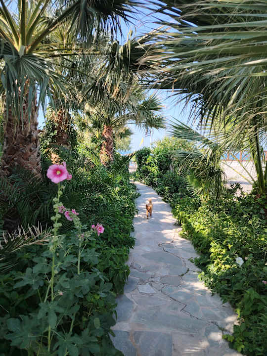 Gartenanlage Hotel South Coast