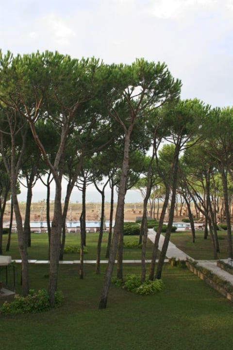 Blick aus Zimmer 106 am Morgen Hotel Bellevue & Resort