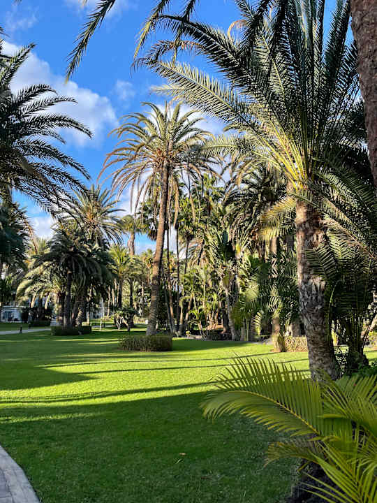 Gartenanlage Hotel Riu Palace Oasis