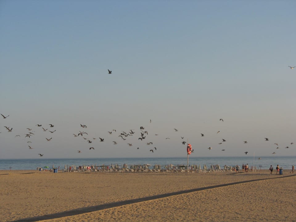 Abendstimmung am Strand in Portimao NH Marina Portimão Resort