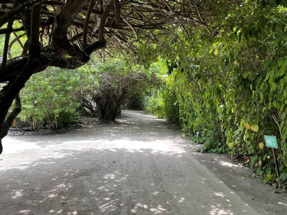 Gartenanlage Adaaran Select Meedhupparu Island Resort - Premium All Inclusive