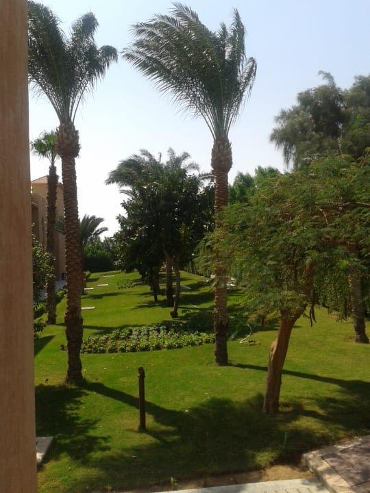 Ausblick Pickalbatros Aqua Park Resort - Hurghada