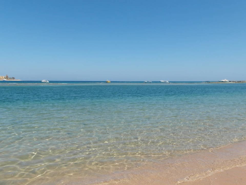 . Jaz Makadi Gardens - TUI BLUE Makadi Gardens - Adults Friendly 16 Years Plus