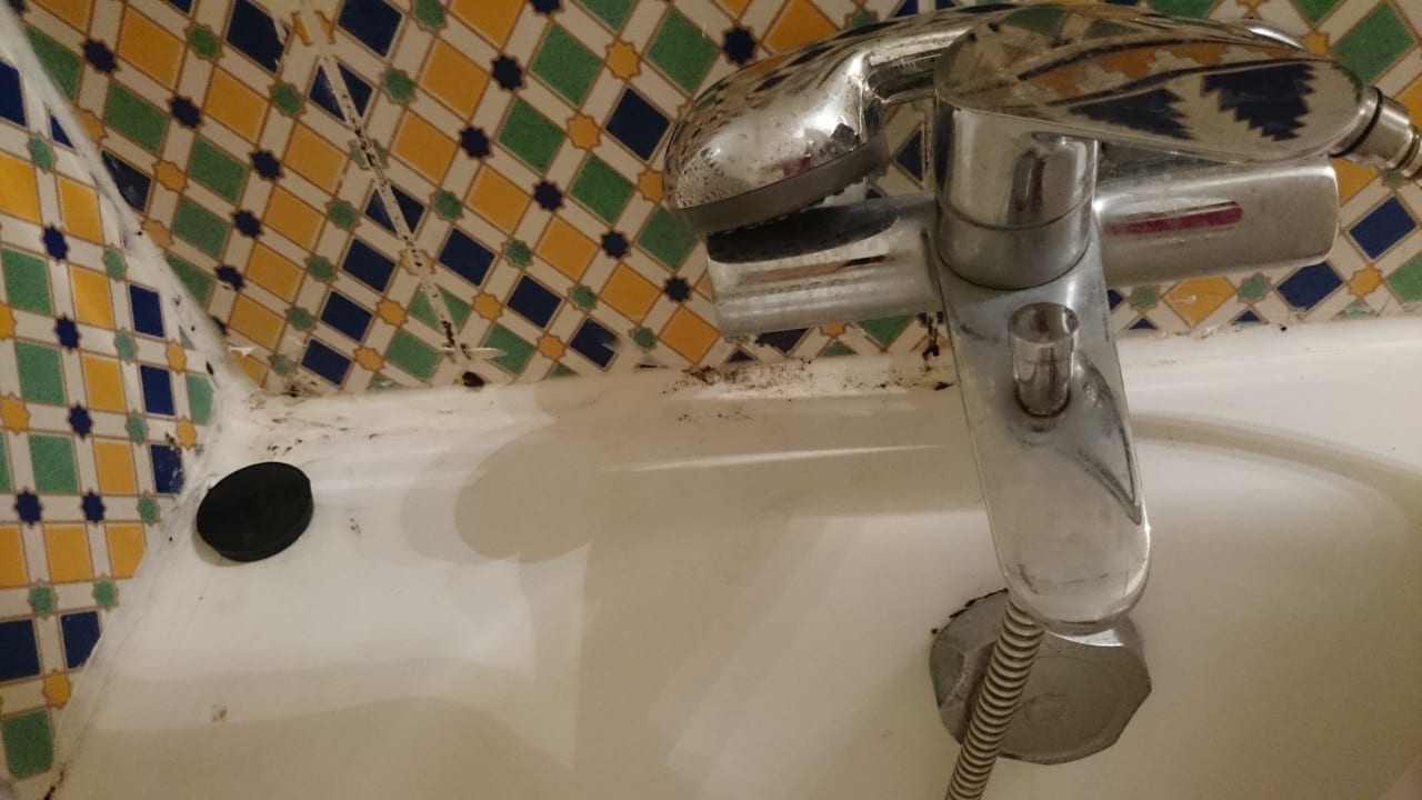 Schimmel Hotel El Mouradi Djerba Menzel