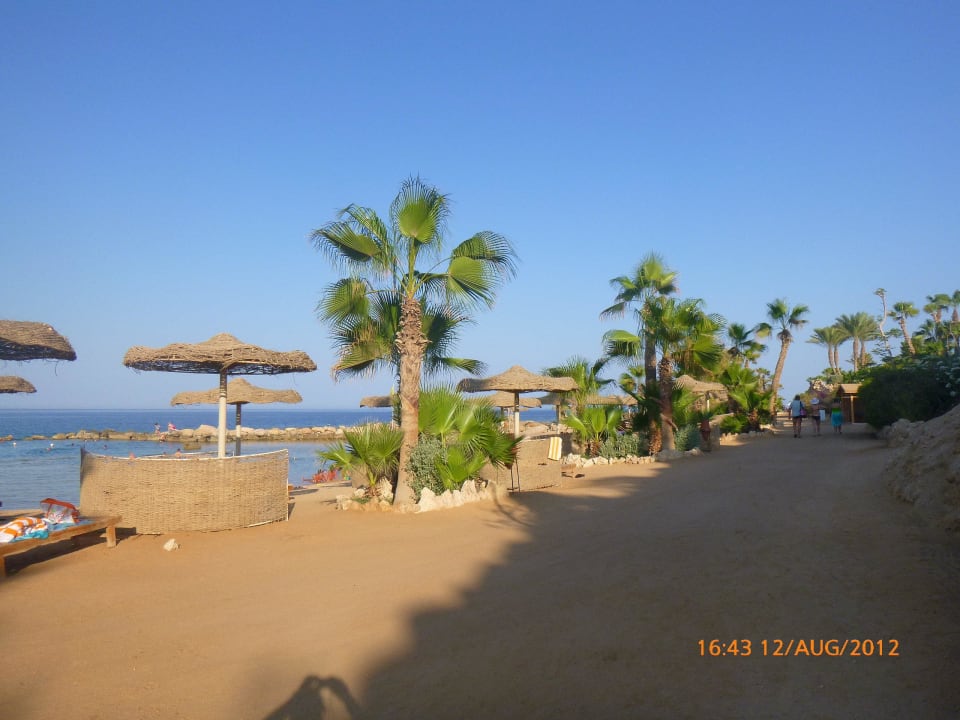 Super Strand Pickalbatros Citadel Resort