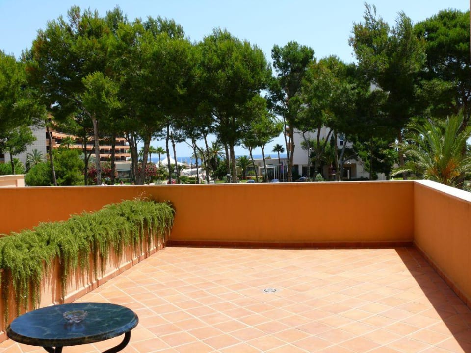 Blick auf Terrasse und das Meer Hipotels Hipocampo Palace & Spa