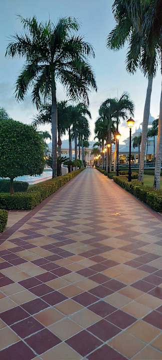 Gartenanlage Hotel Riu Palace Punta Cana
