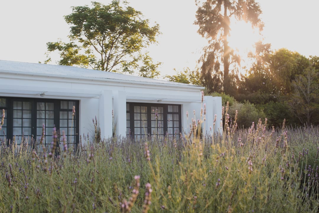 Zimmer Hotel Bloomestate