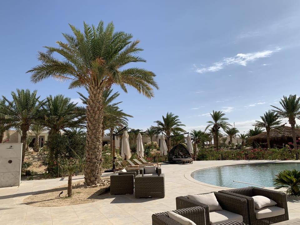 Pool Anantara Tozeur Resort