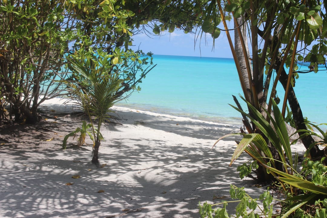 Auf dem Weg zur Sandbank Kuramathi Maldives