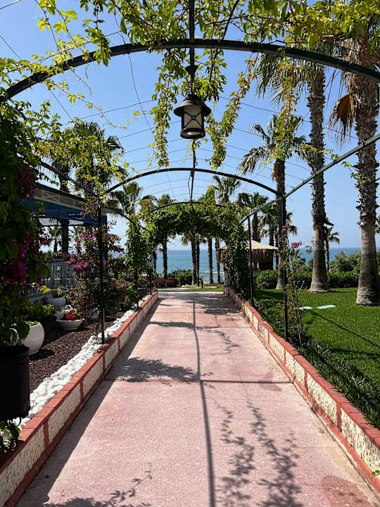 Gartenanlage Hotel Turan Prince