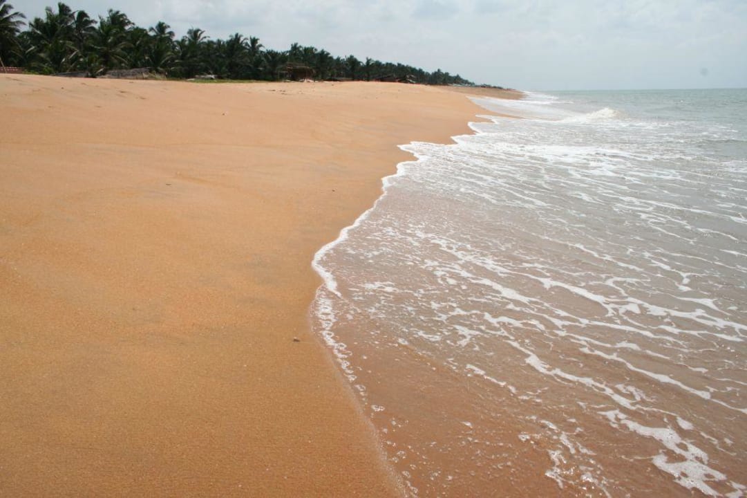 Strand Palm Bay Club Palm Bay