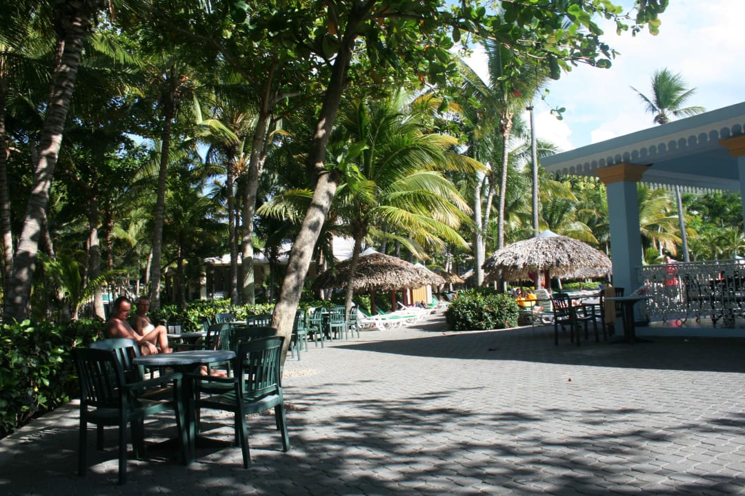 Bar Senator Puerto Plata Hotel